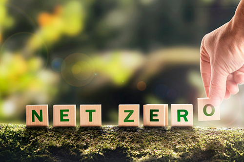 Solution Providers Role In Net-Zero